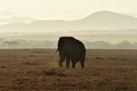 Dar es Salaam:Safari de 3 días en Mikumi &amp; Cascada &amp;Jeep de techo abierto