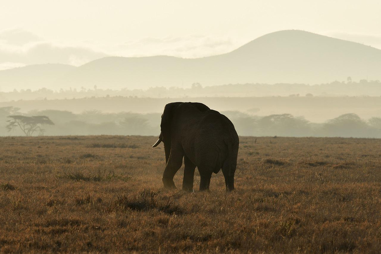 Dar es Salaam: 3 dagars Mikumi Safari &amp; Vattenfall &amp; Jeep med öppet tak