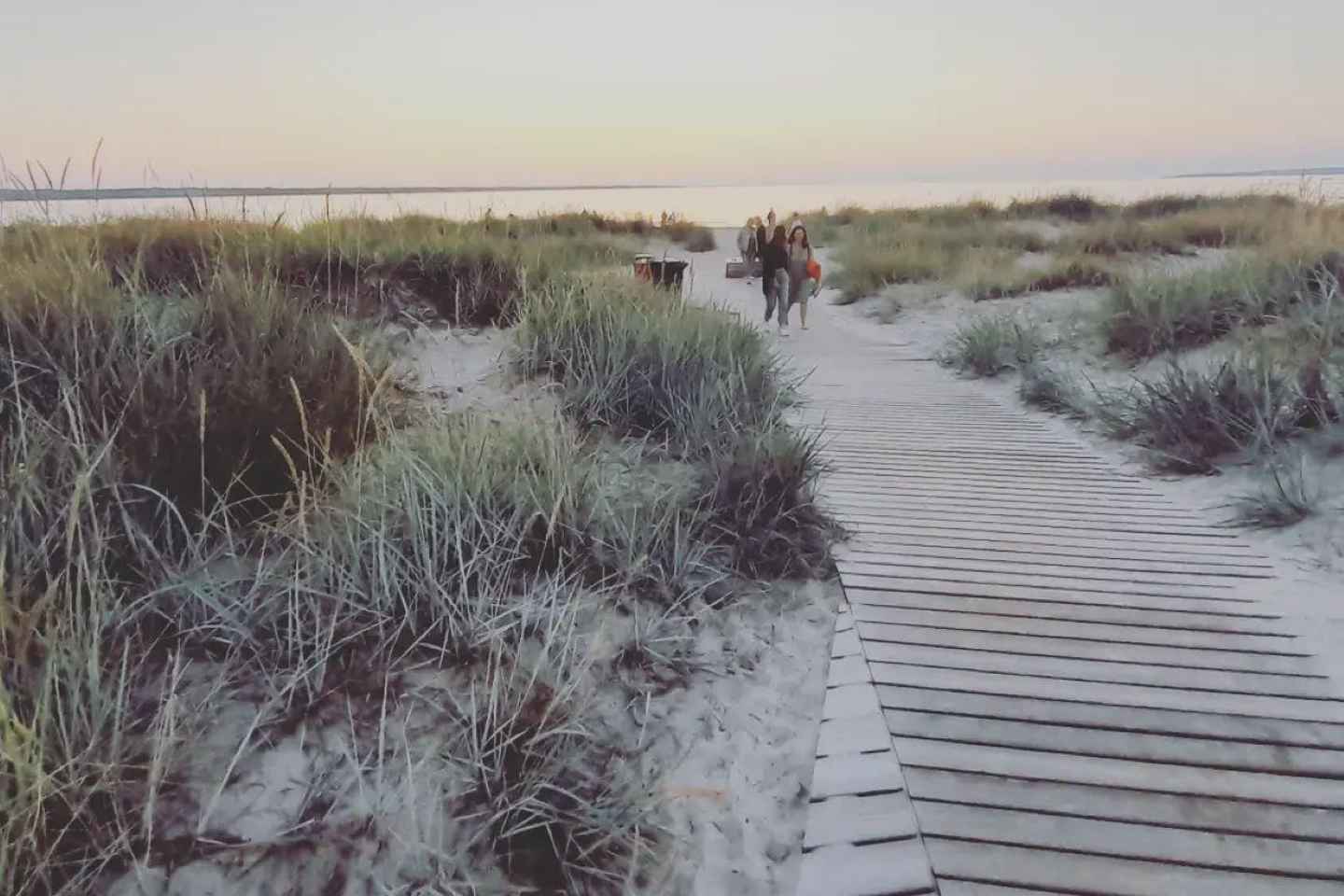 Tallinn: Pakri landscape conservation park and coast 5h