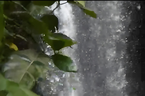 Ritual Melukat en la cascada de Taman Beji Griya