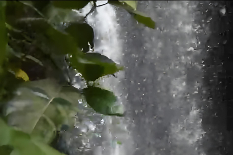 Ritual Melukat en la cascada de Taman Beji Griya