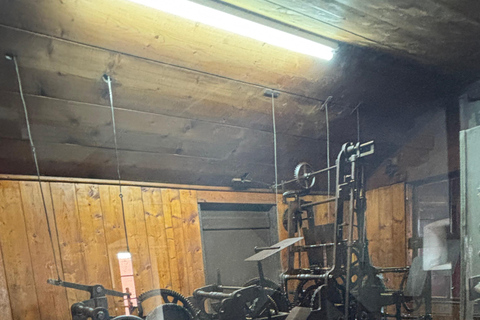 Brașov – Viscri – Sighișoara Day Trip