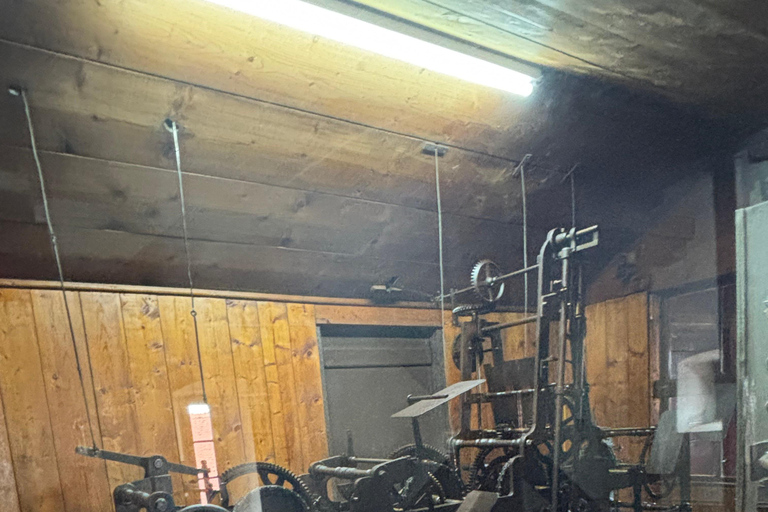 Brașov – Viscri – Sighișoara Day Trip