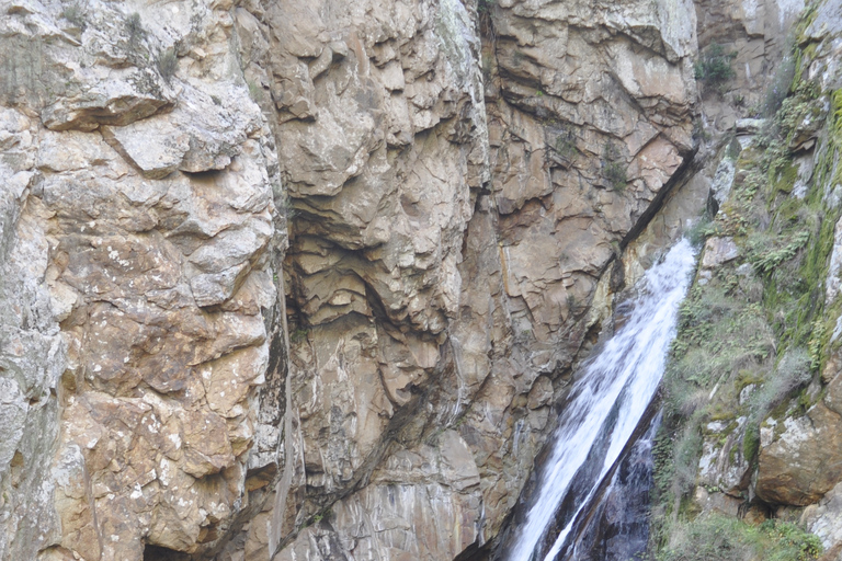 Paseo por la naturaleza de Guarda: Relatos de las Pasarelas del Mondego