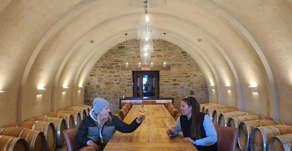 Queenstown: Otago Central Rail Trail E-Bike and Wine Tour