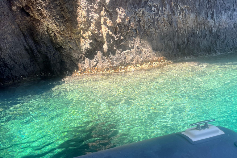 De Cargèse : Le grand tour du Golfe