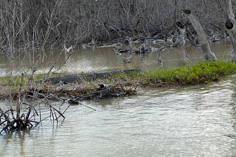 Flamingo Classic: Rio Lagartos and Las Coloradas