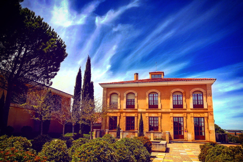 Ribera del Duero Sightseeing Tour: From Madrid to the Ribera del Duero - lunch included RIBERA DEL DUERO WITH FULL LUNCH INCLUDED