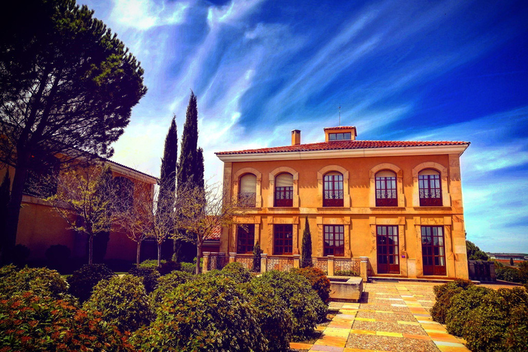 Ribera del Duero Sightseeing Tour: From Madrid to the Ribera del Duero - lunch included RIBERA DEL DUERO WITH FULL LUNCH INCLUDED