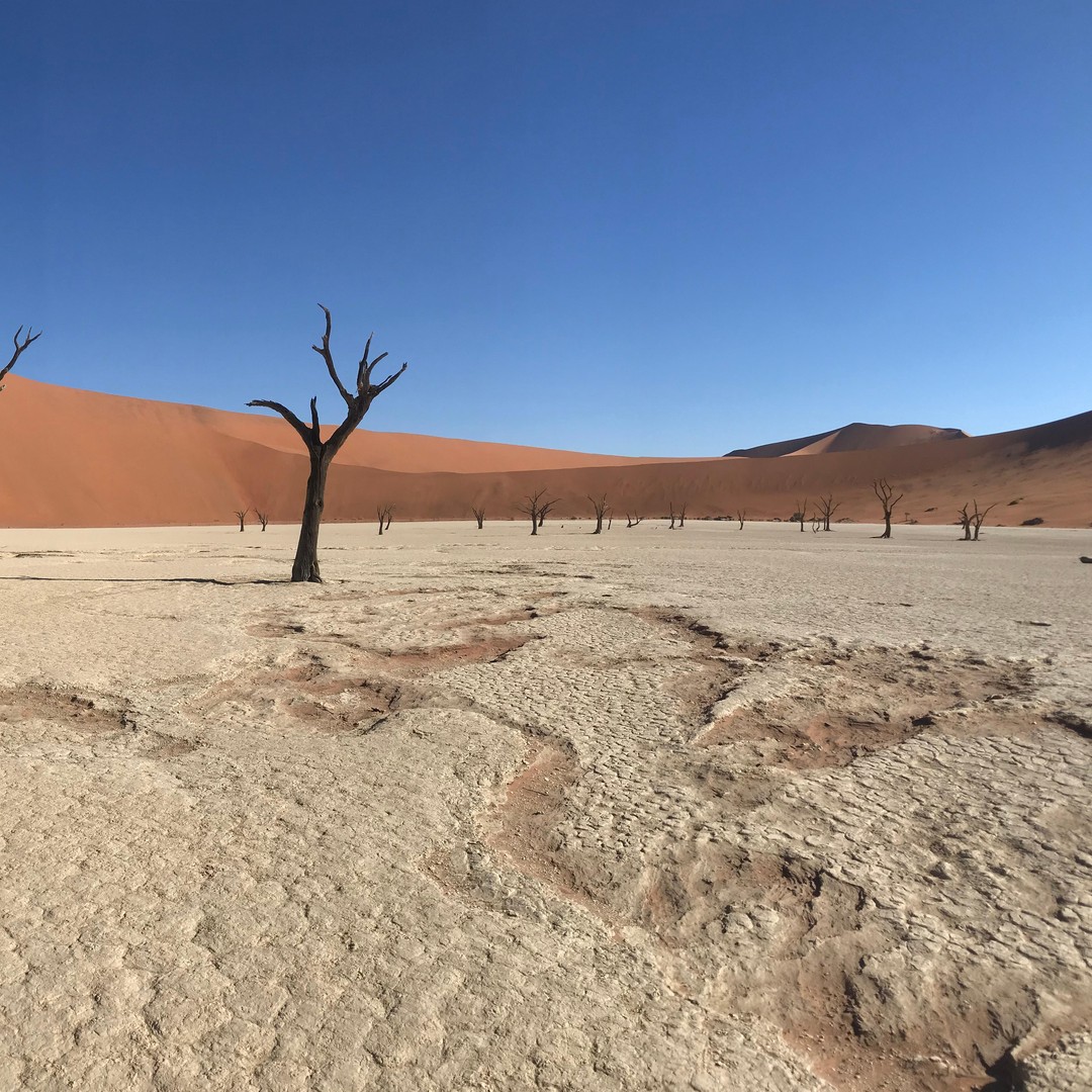 Galería de fotos para redes
