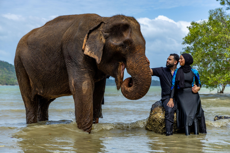 Phuket: Half‑Day Elephant Care Experience Including Lunch