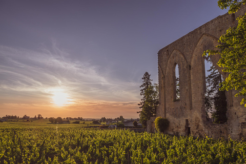 Private Full Day Saint-Émilion Wine Tour from Bordeaux