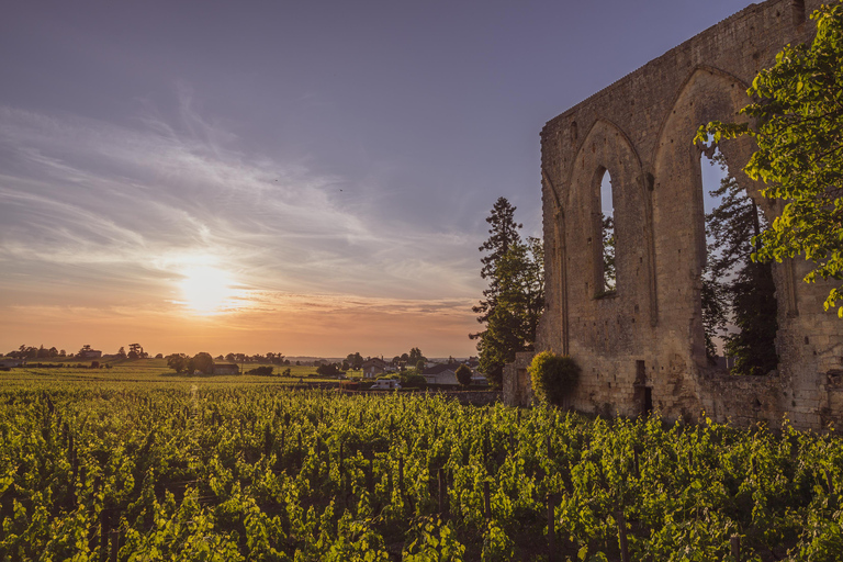 Private Full Day Saint-Émilion Wine Tour from Bordeaux