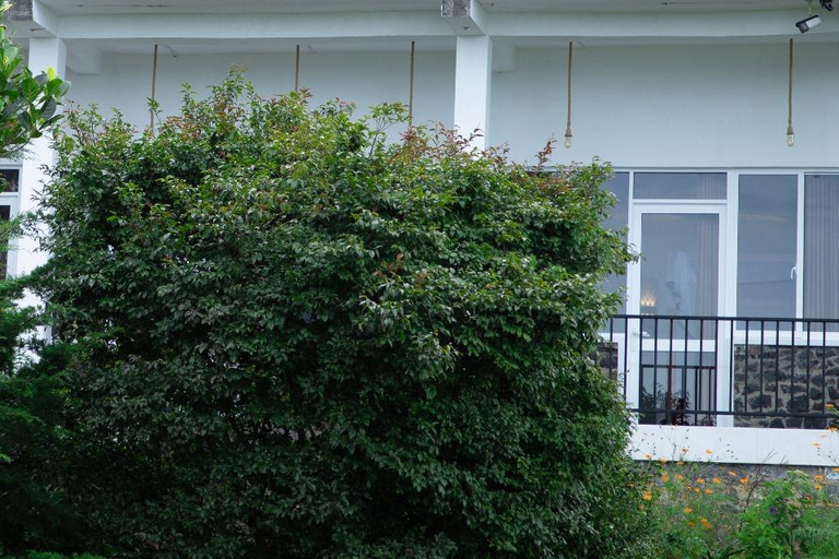 Lipton&#039;s Seat, Adisham Bungalow, excursão à fábrica de chá DambetennaDe Ella: Duas noites e três dias - Tour totalmente particular