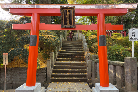 Tokyo: Yanaka District History Walking Tour