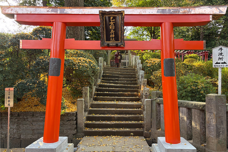 Tokyo: Yanaka District History Walking Tour