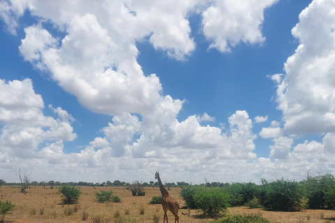 Red Elephants & Kilimanjaro Views: 3-day Tsavo East/Amboseli