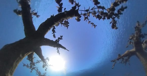 Musan Underwater Park: Scuba Dive at the 93-Sculpture Museum