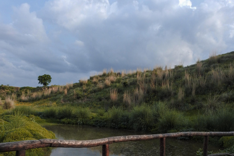 Kishan Bagh Sanddünen Park: Eine Wüstenoase in Jaipur