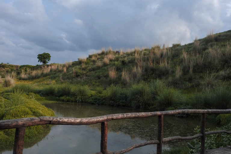 Kishan Bagh Sanddünen Park: Eine Wüstenoase in Jaipur