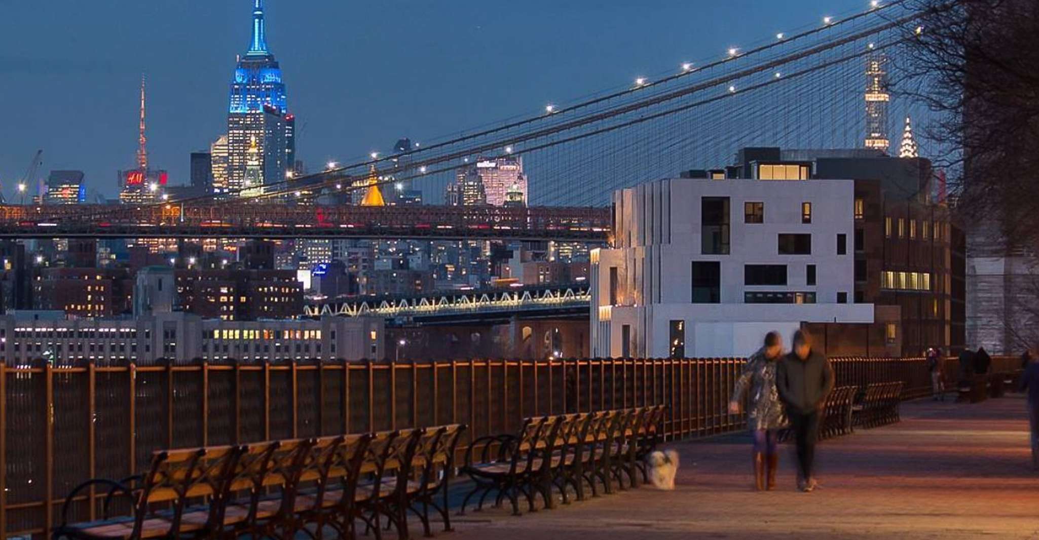 Excursão noturna panorâmica em Nova York Brooklyn & Hamilton Park - Hizvo