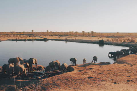 Sri Lanka: Experiencia de 3 días en las Colinas con viaje en tren