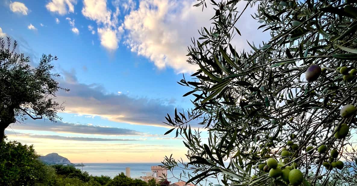 Afbeelding 37 van Sea Villa Cefalù: hands-on 4-gangen arancini-les en wijn
