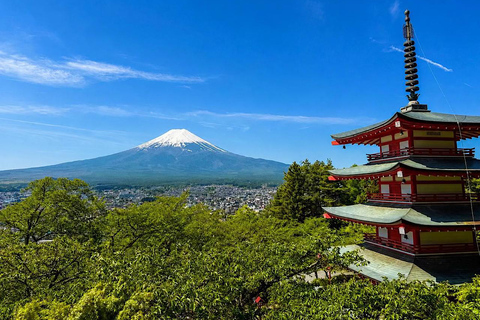 Exclusive Private Tour to Speedway & Mount Fuji with Driver Tokyo Mount Fuji & Hokone Private Itinerary B with Driver