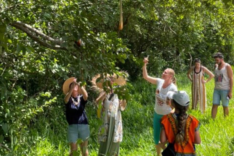 FROM NUNGWI/KENDWA:STONE TOWN, PRISON ISLAND & JOZANI FOREST Private tour include hotel pick up and drop off