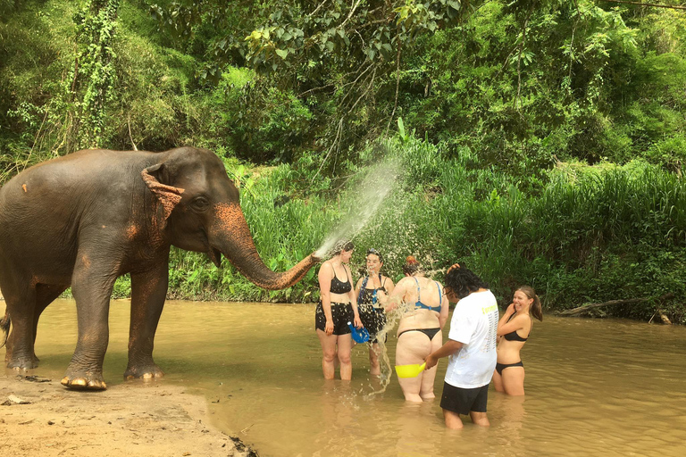 Chiang Mai: 2-dagars djungelvandring med elefantfarm och forsränning