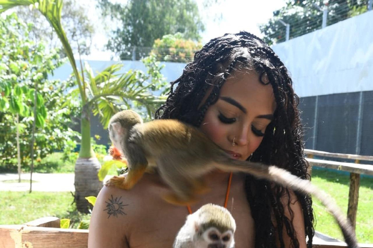 Puerto Plata: Exclusive Monkey Tour for Cruise Passengers