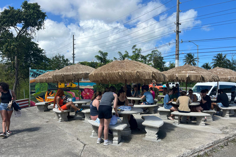 El Yunque Rainforest; Waterslides, Beach, Dine and Shop Tour El Yunque Rainforest Waterslides and Beach Tour