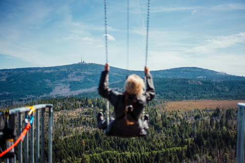 Harzturm: High Swing Experience