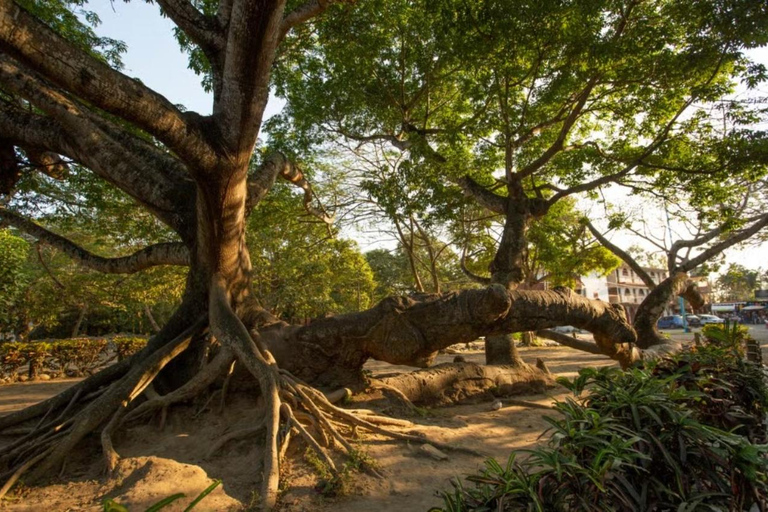 Desde Veracruz: Excursión a La Antigua y San Juan de Ulúa