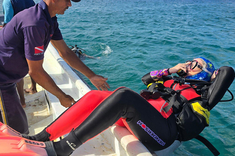 Scuba Diving in Puerto Plata Scuba Dive + Transport