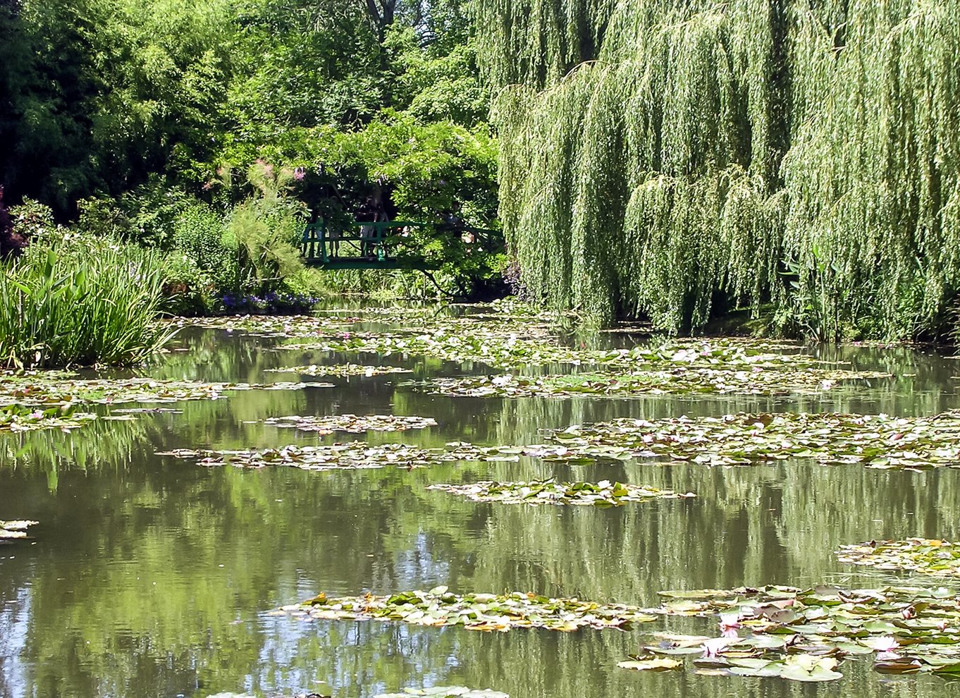 Giverny: Monets hus og haver guidet tur