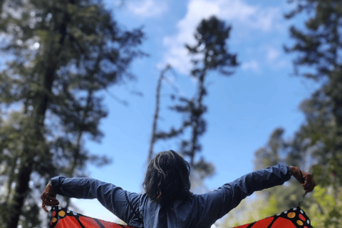 Tournée des papillons monarques au Mexique : Sierra Chincua et AngangueoPetit groupe