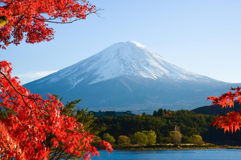 Tokyo: Fuji Fuji-berget, Arakura Sengen Park, Oshino Hakkai BussturFrån Shinjuku till Fuji-berget kl. 8:30