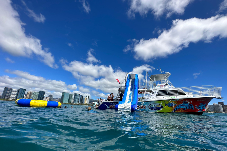 Honolulu : Croisière de luxe à Waikiki pour la plongée avec tuba et la découverte de la faune et de la flore