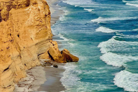 Luxury Private Tour from Lima: Ballestas, Vineyards, and Adrenaline-Fueled Buggy Ride Luxury Private Tour from Lima: Ballestas, Vineyards, and Adrenaline-Packed Buggy Ride