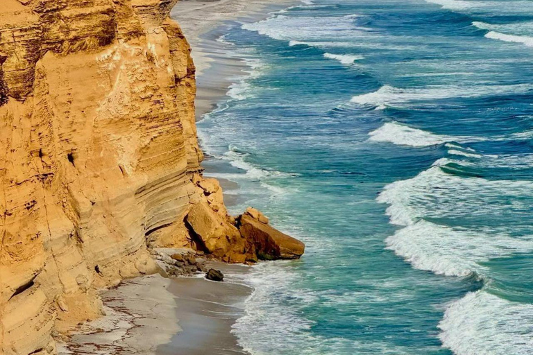 Luxury Private Tour from Lima: Ballestas, Vineyards, and Adrenaline-Fueled Buggy Ride Luxury Private Tour from Lima: Ballestas, Vineyards, and Adrenaline-Packed Buggy Ride