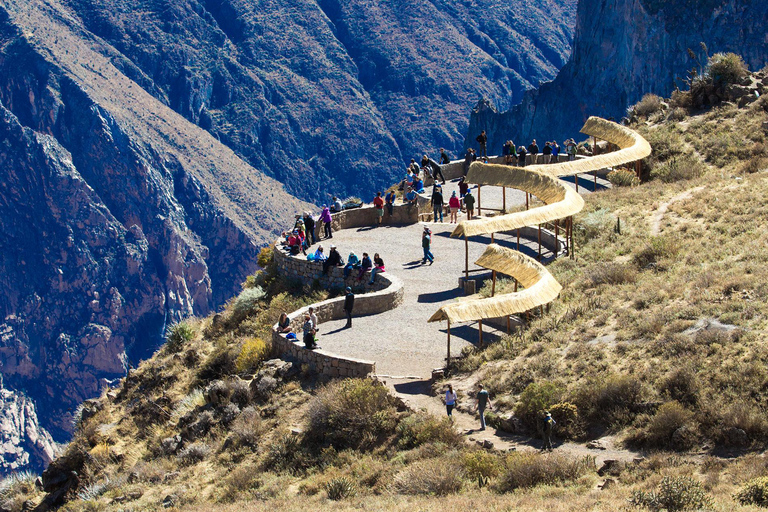 Arequipa: 2-Day Colca Canyon Tour promotional price