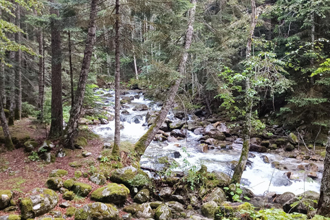 Sofia: Boyana Church, Rila Monastery & Hot Springs Tour