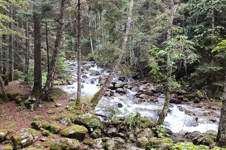 Sofia: Boyana Church, Rila Monastery & Hot Springs Tour
