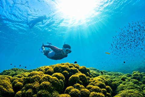Phu Quoc: 4 Island & 2 Reefs Snorkeling Tour by Speedboat Phu Quoc: Speed Boat Tour 4 Islands - 2 Reefs Snorkeling