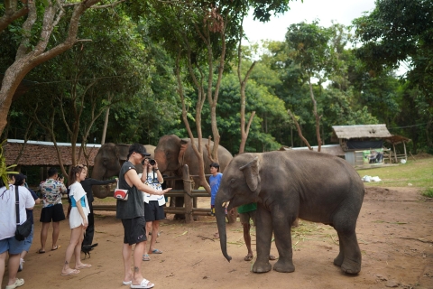 Chiang Mai: National Elephant Care & Rafting/Ziplines Trip Chiang Mai: National Elephant Care& Fully Ziplines Adventure