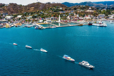 Excursion d'une journée à Komodo en bateau rapide