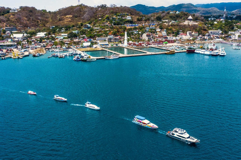 Excursion d'une journée à Komodo en bateau rapide