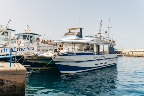 Gran Canaria: boottocht dolfijnspotten2 uur dolfijnen spotten cruise met transfer