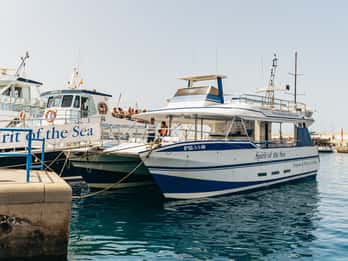 Ab Puerto Rico de Gran Canaria: Delfinbeobachtungstour